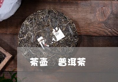 茶壶 普洱茶/2023042909283